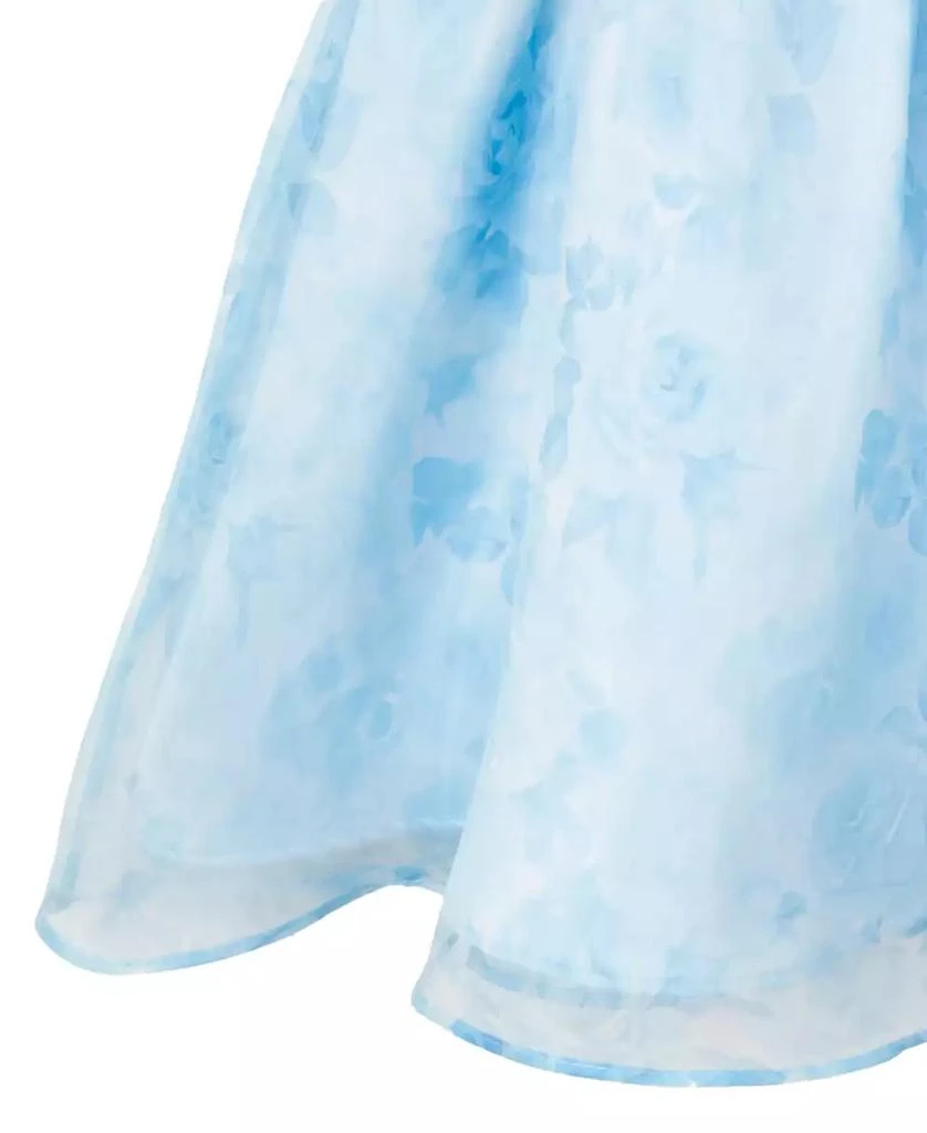Rare Editions Toddler and Little Girls Floral Organza Social Dress 8