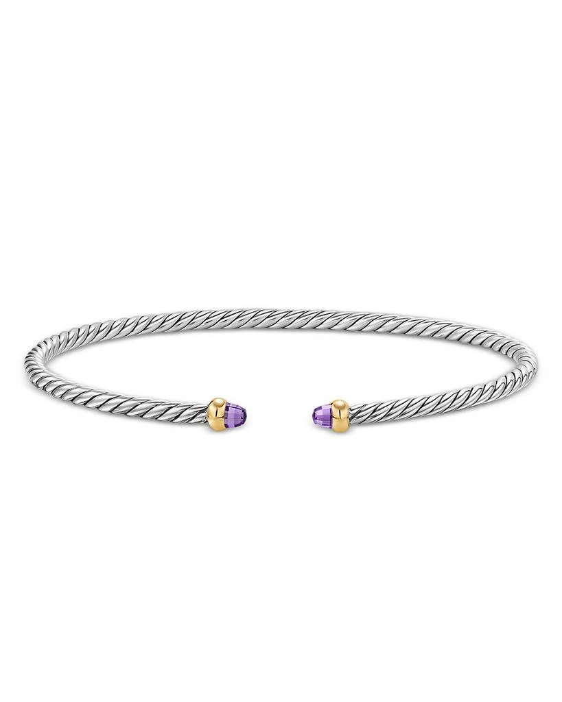 David Yurman Micro Cable Flex® Bracelet in Sterling Silver with 14K Yellow Gold and Amethyst, 2.6mm 3