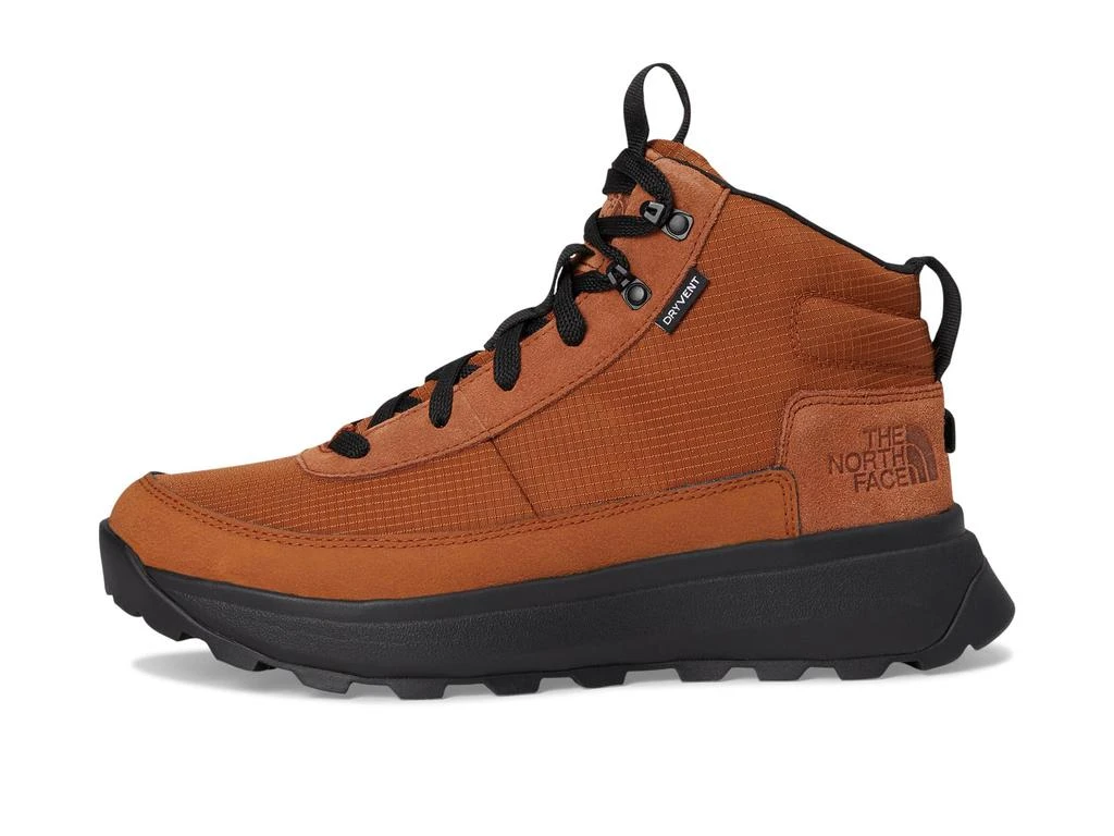 The North Face Men display picture 1