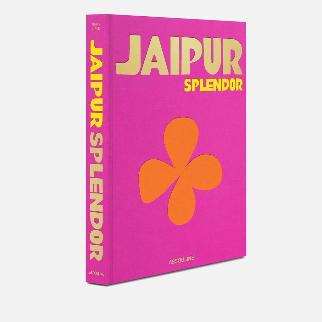 Assouline : Jaipur Splendor 10