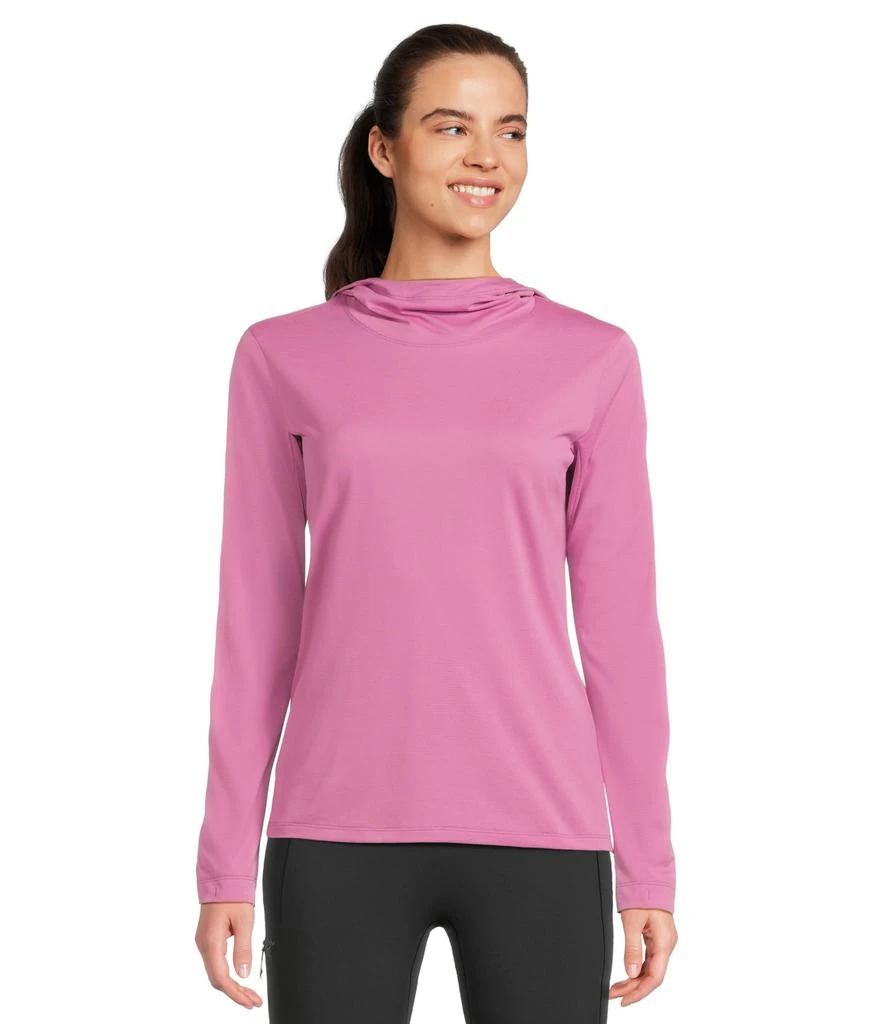 Arc'teryx Taema Hoodie 1