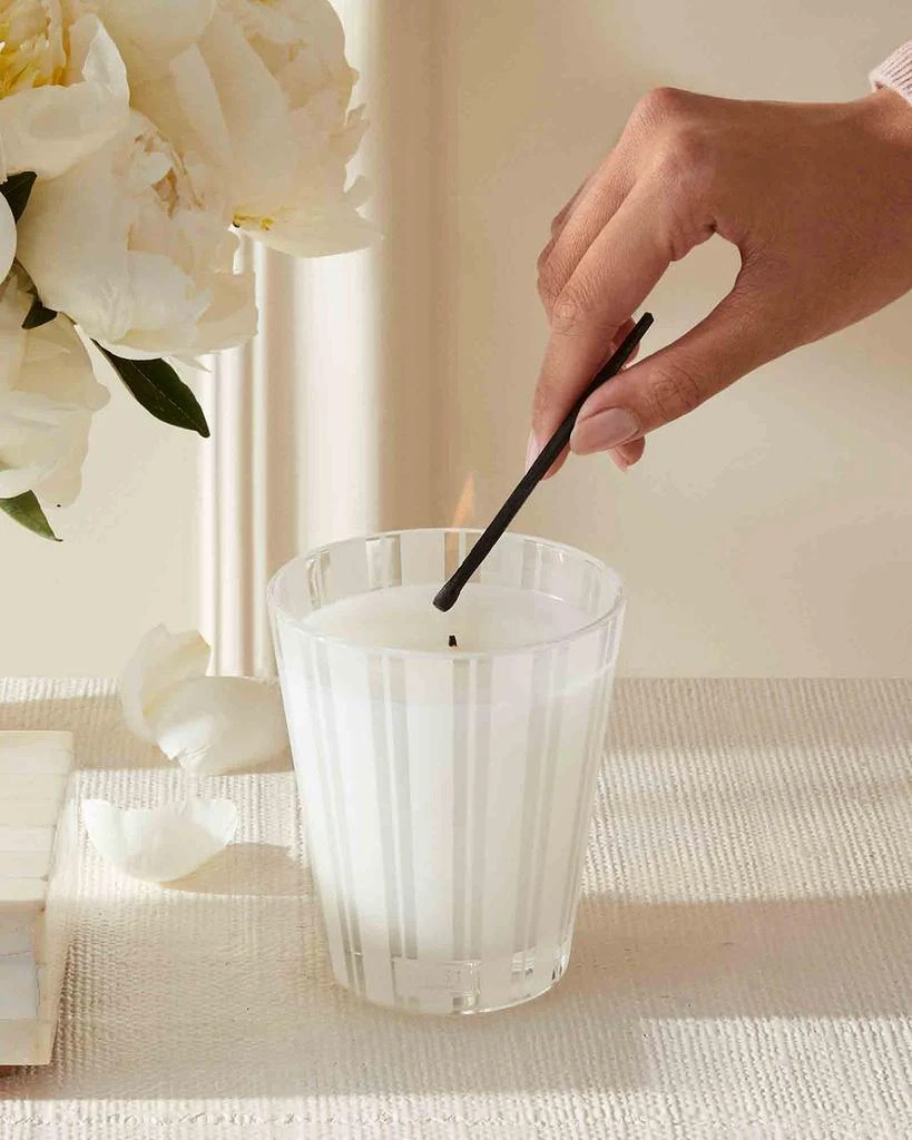 NEST New York 8.1 oz. Amalfi Lemon & Mint Classic Candle 4