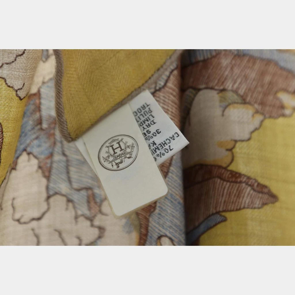 Hermes Hermes Naturel/Jaune/Rose Cashmere, Silk Cosmographia Universalis Cashmere 140 Shawl 3