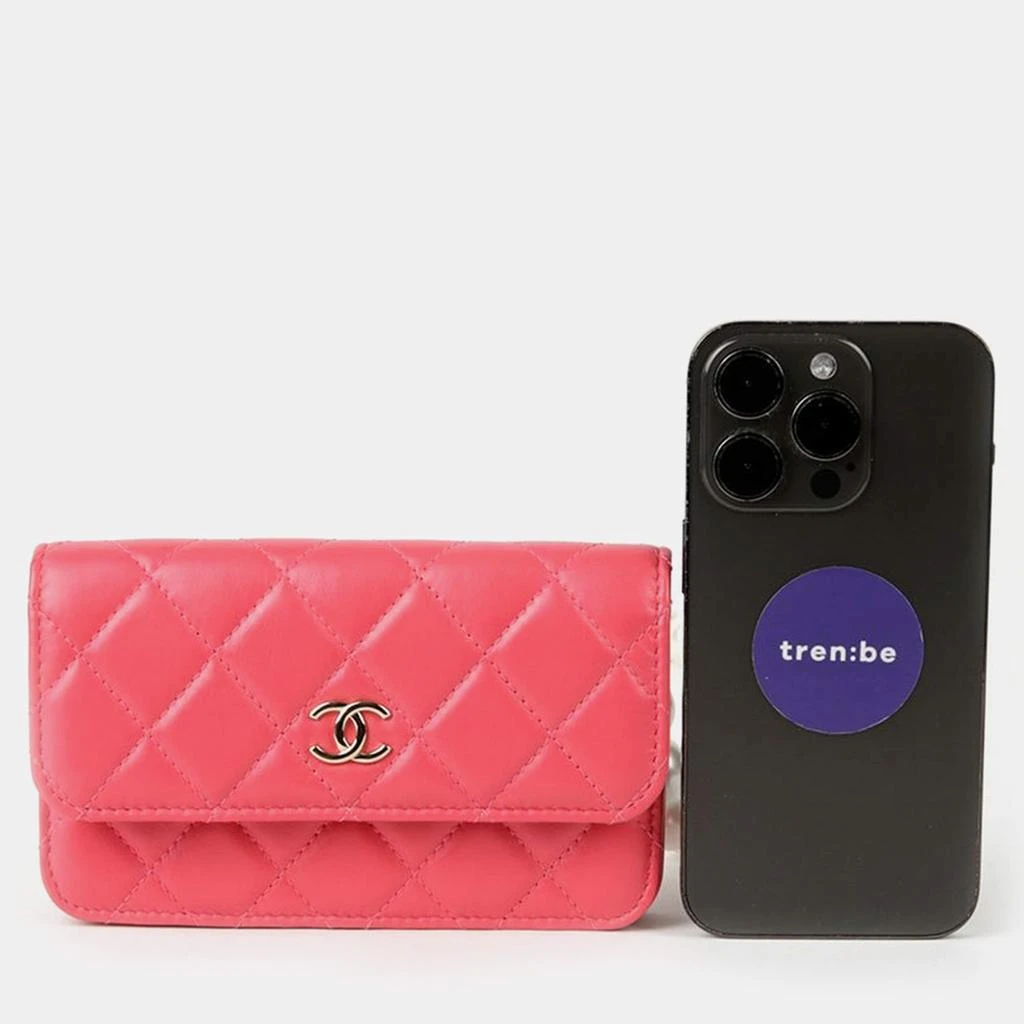 Chanel Chanel Pink Leather Pearl Mini Wallet On Chain 12