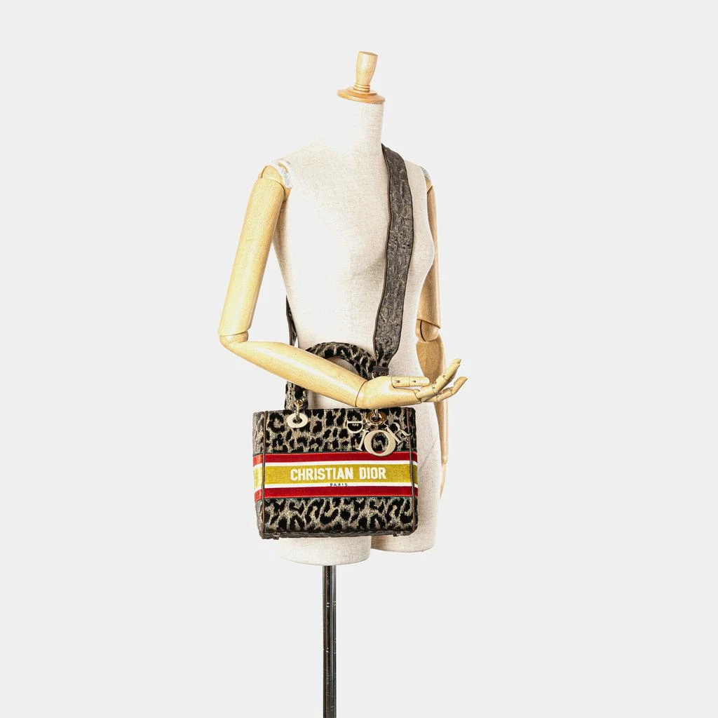 Dior Dior Brown Mizza Medium Embroidered Velvet Leopard Lady D Lite Bag 2