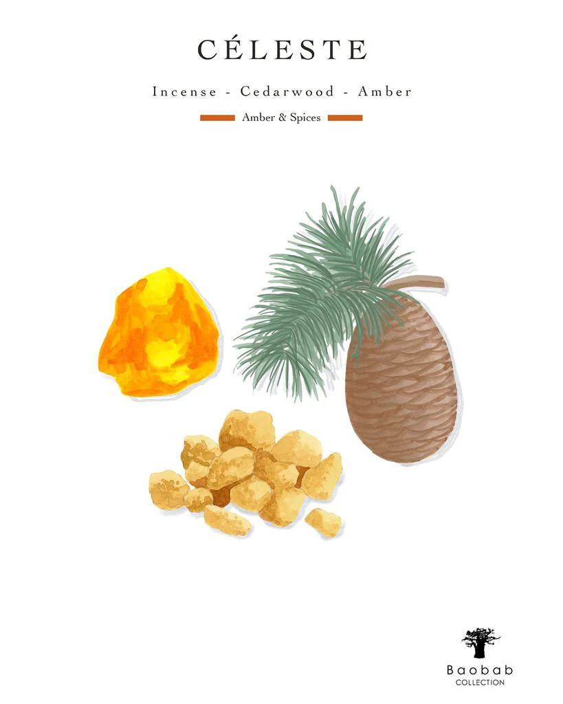 Baobab Collection Celeste 4-Wick Max 16 Candle, 2.3 kg 4