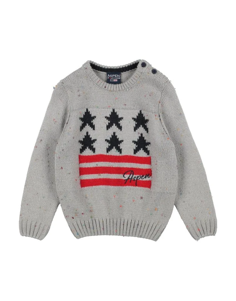 ASPEN POLO CLUB Sweater