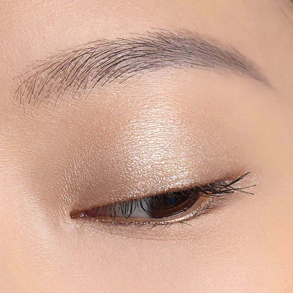 Chantecaille Luminescent Eye Shade 20