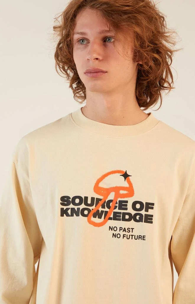 PacSun Source Of Knowledge Long Sleeve T-Shirt 3