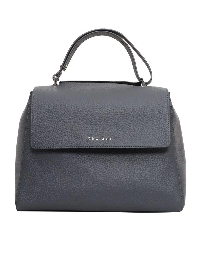 ORCIANI Bag 1