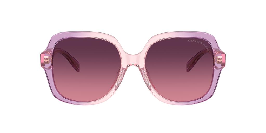 Coach Coach Woman Sunglass HC8395U CR614