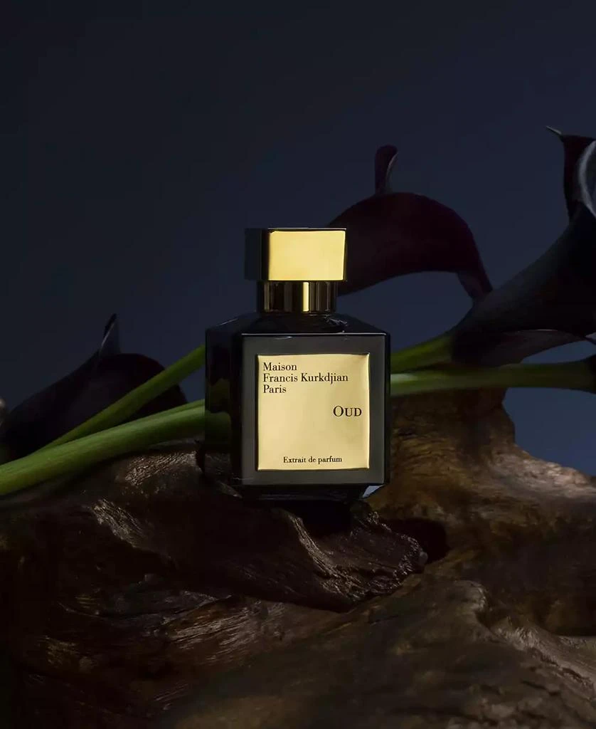 Maison Francis Kurkdjian OUD Extrait de Parfum Spray, 2.4 oz. 5
