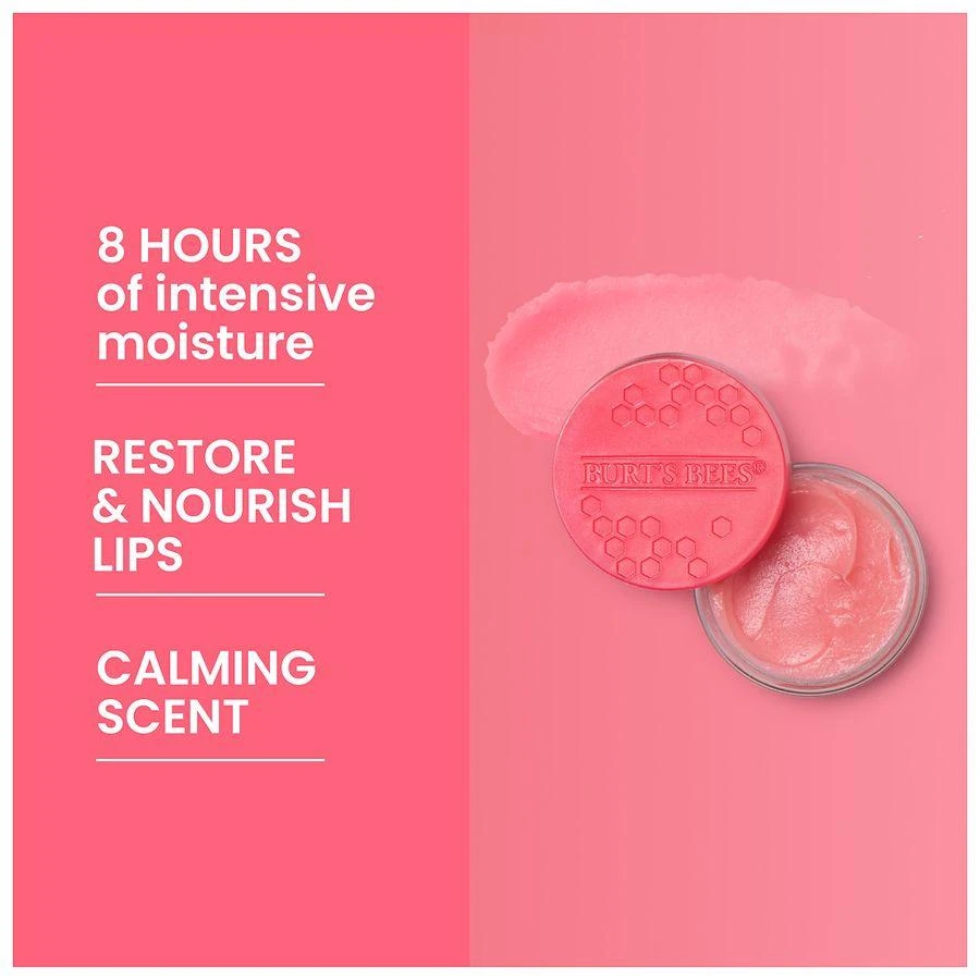 Burt's Bees Overnight Lip Treatment Passion Fruit and Chamomile 5