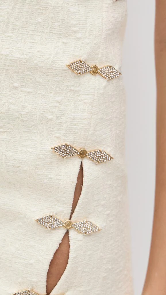 Saloni Alba Dress 5
