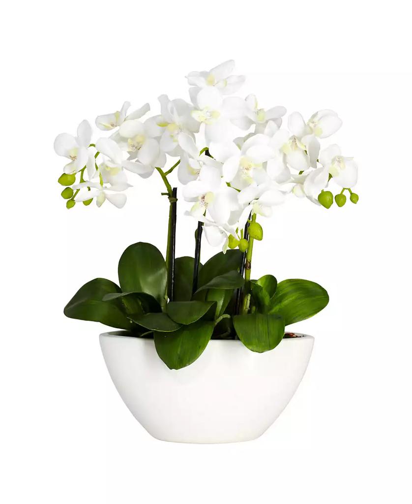 NEARLY NATURAL Phalaenopsis Flower Arrangement