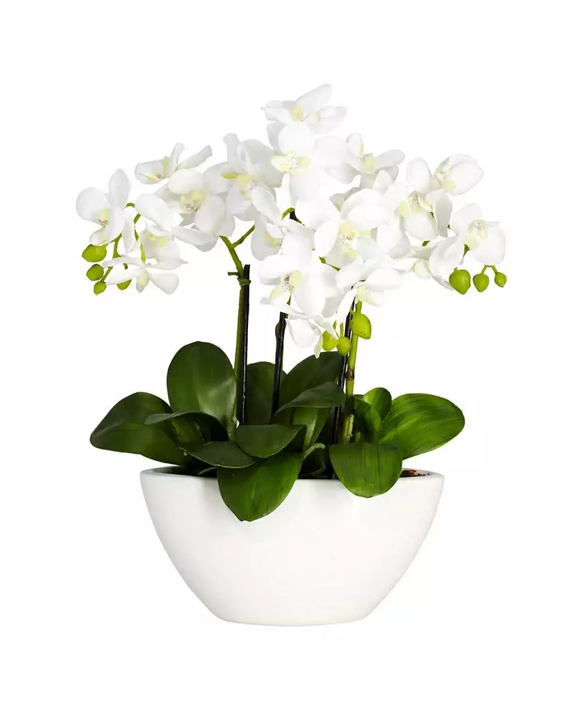 NEARLY NATURAL Phalaenopsis Flower Arrangement 1