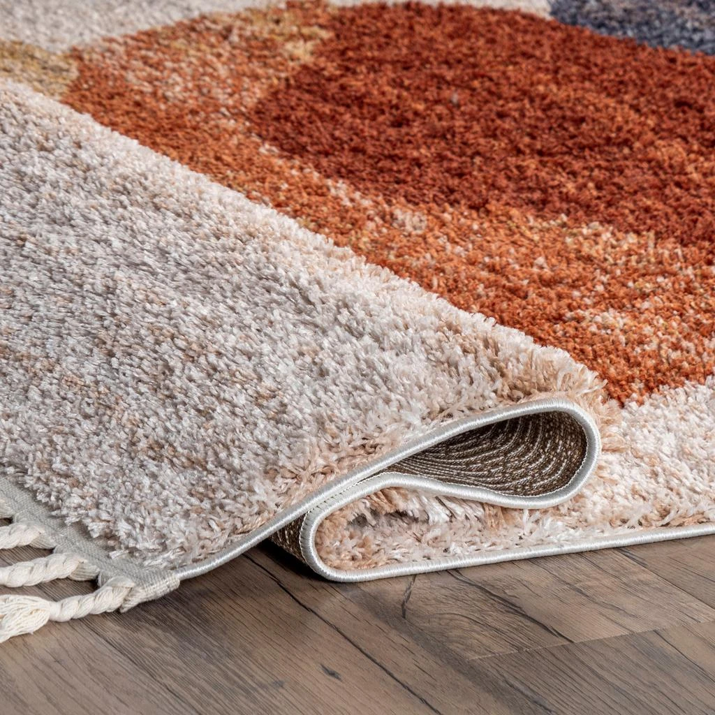 nuLOOM Kassidy Shaggy Contemporary Tassel Area Rug 6