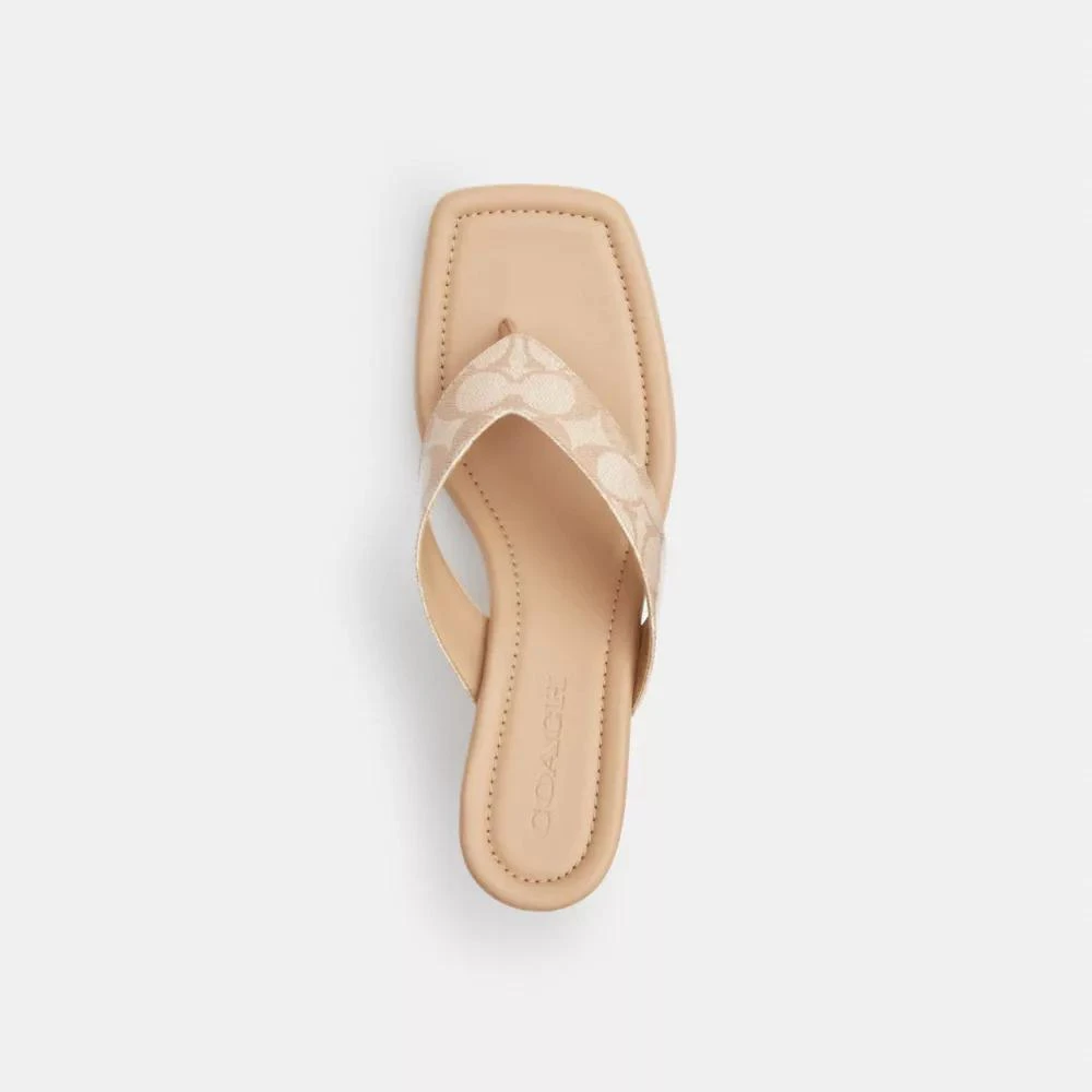 Coach Kitten Heel In Signature Canvas 3
