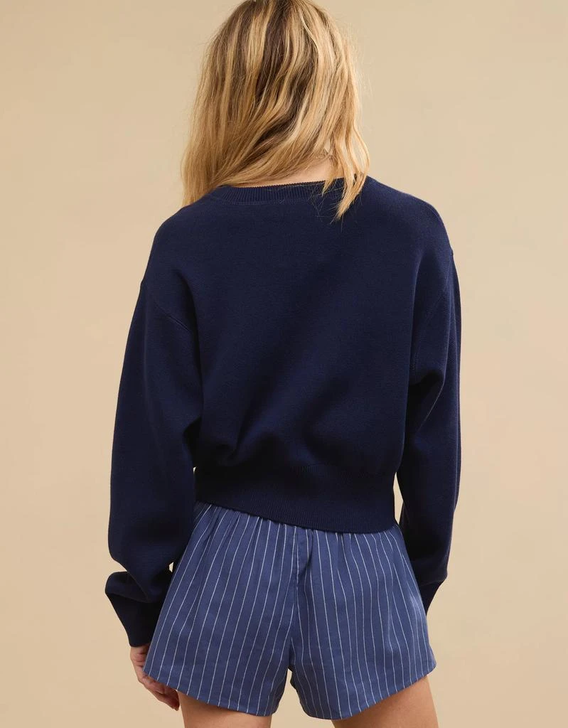 Aerie Aerie Cropped Sweater 2
