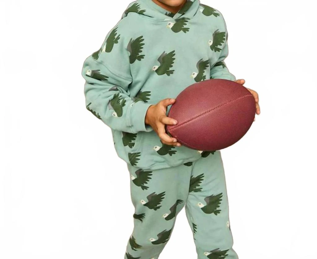 Lewis Eagle Hoodie In Green