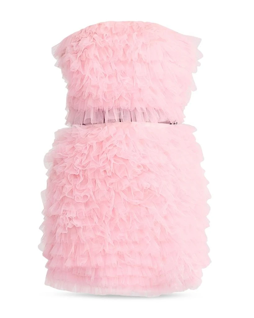 Zac Posen Wicked x Zac Posen Textured Tulle Mini Dress 5