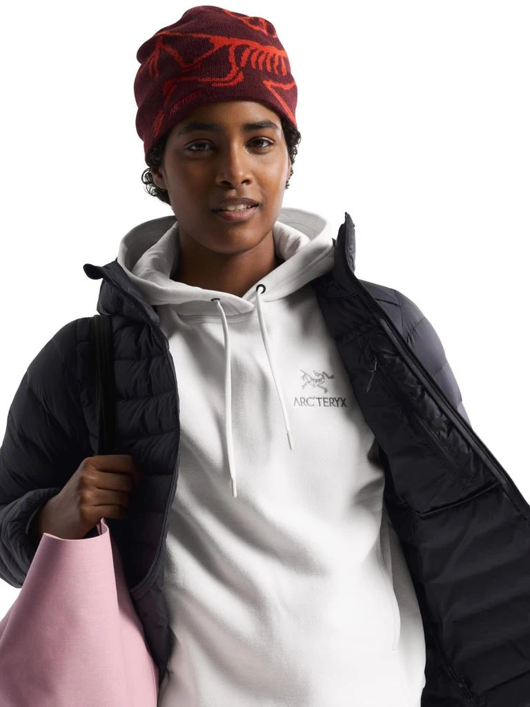 Arc
teryx Arc
teryx Cerium Hoody Women
s | Warm, Versatile Lightweight Down Hoody 4