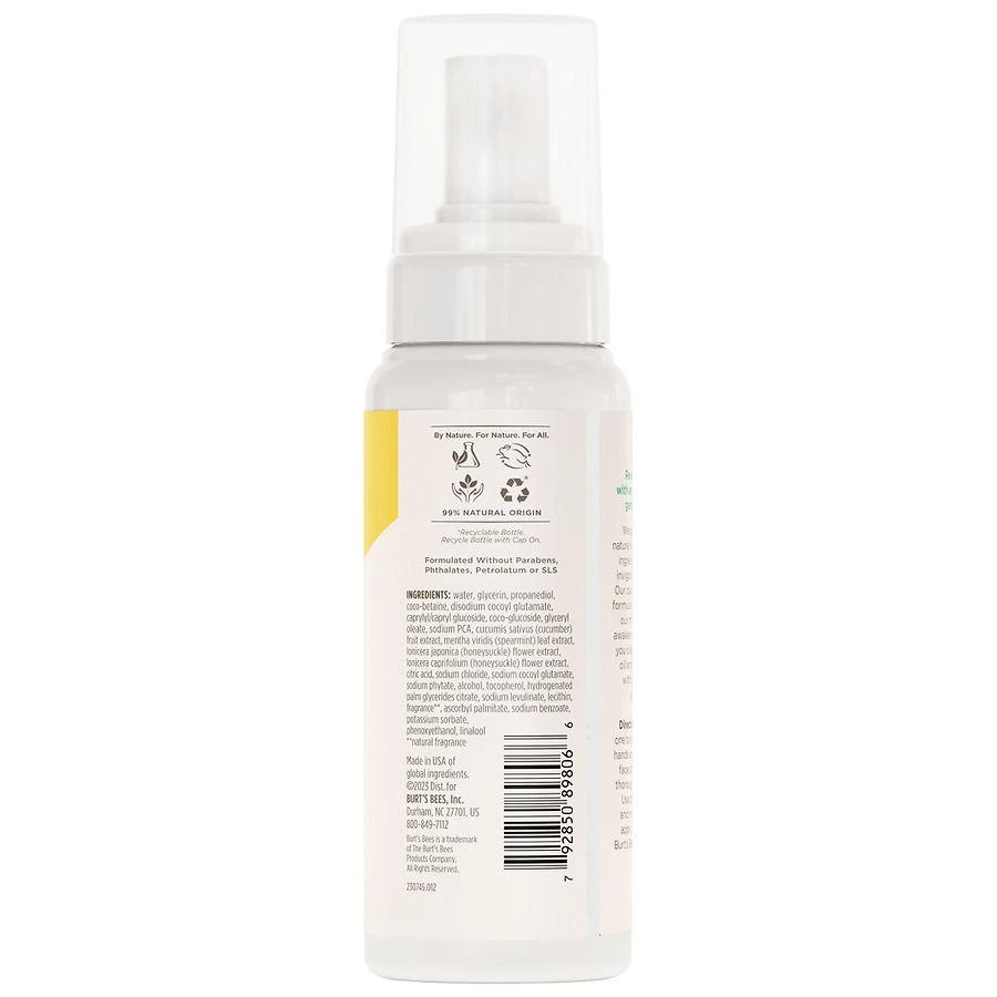 Burt's Bees Refreshing Foaming Face Cleanser Cucumber and Mint 2