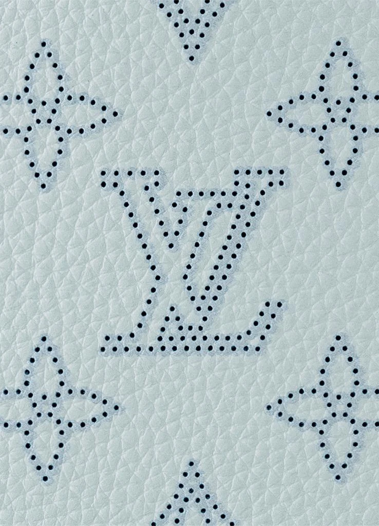 Louis Vuitton Carmel Bag 6