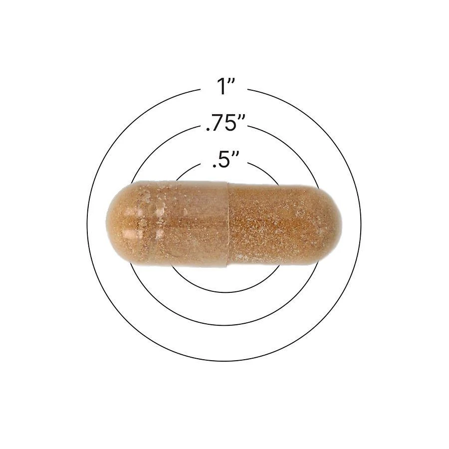 Walgreens Free 
Pure Lion
s Mane Mushroom Vegan Capsules 2