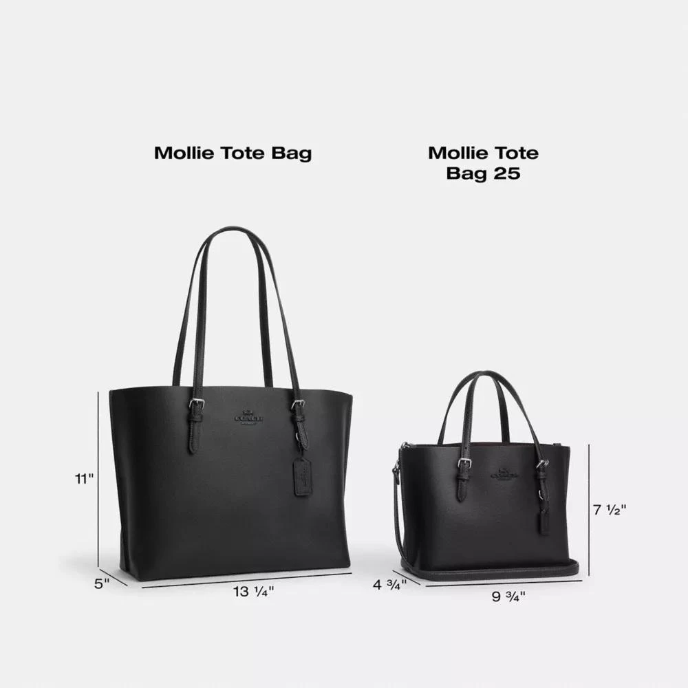 Coach Mollie Tote Bag 8