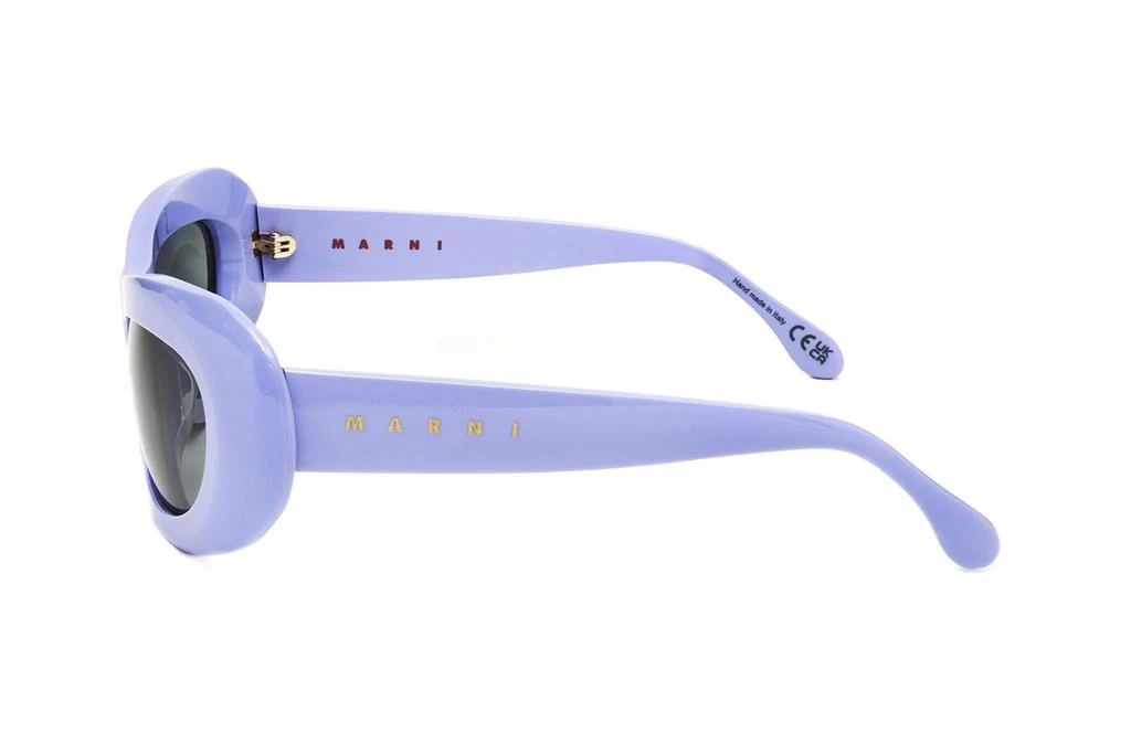 Marni Eyewear Marni Eyewear Field Of Rushes Oval Sunglasses