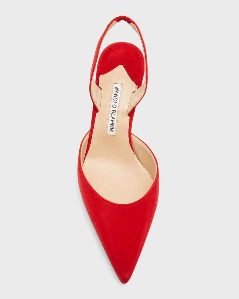 Manolo Blahnik Carolyne Kitten-Heel Halter Pumps 6