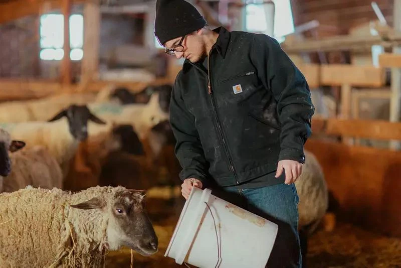 Carhartt Carhartt Men
s Washed Duck Detroit Jacket 3