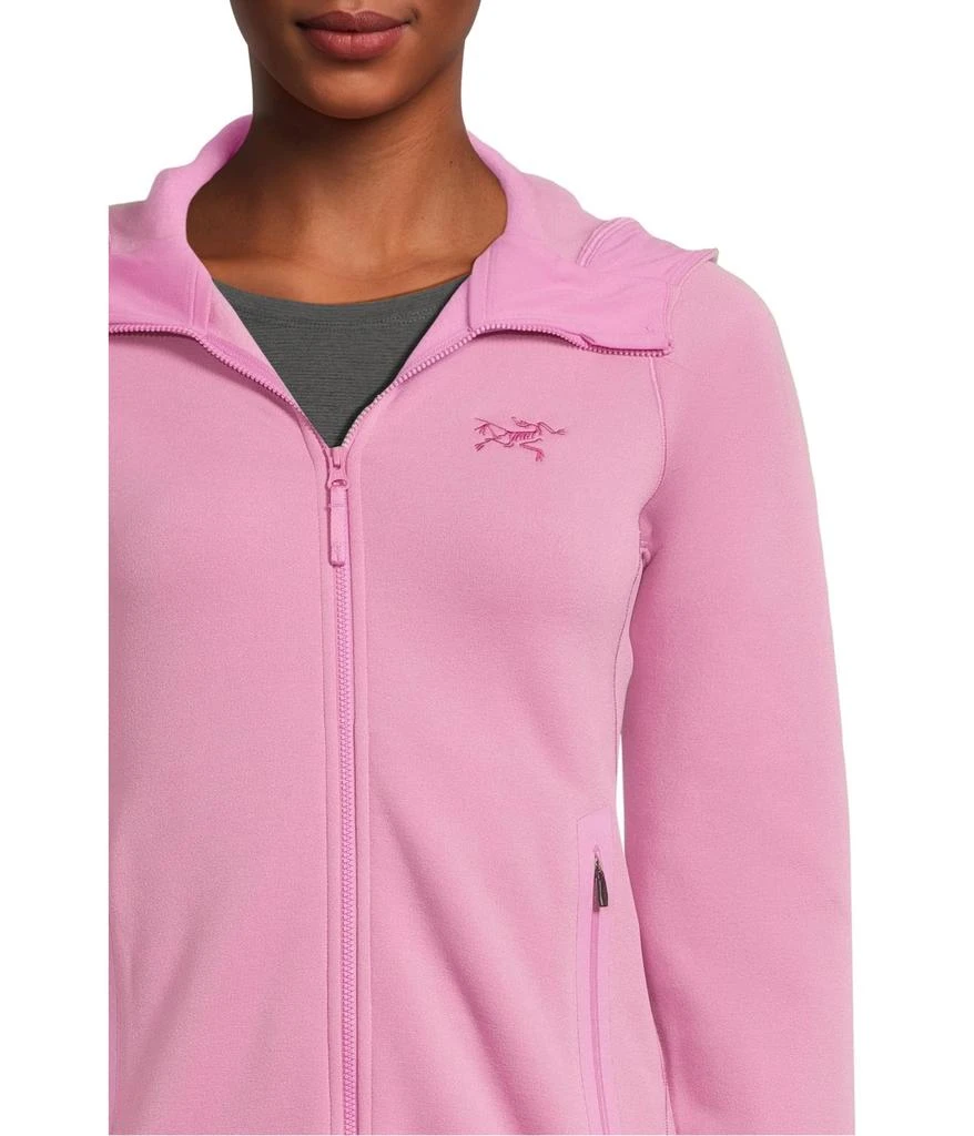 Arc'teryx Kyanite Hoodie 4