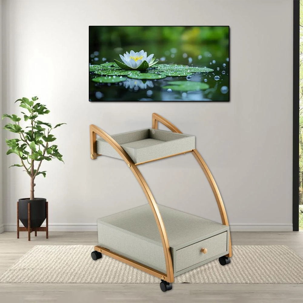 Hivvago Contemporary 2-Layer Mobile Side Table with Removable Tray and Slide-Out Drawer