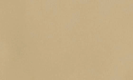 RAINS Waterproof Fishtail Parka 2