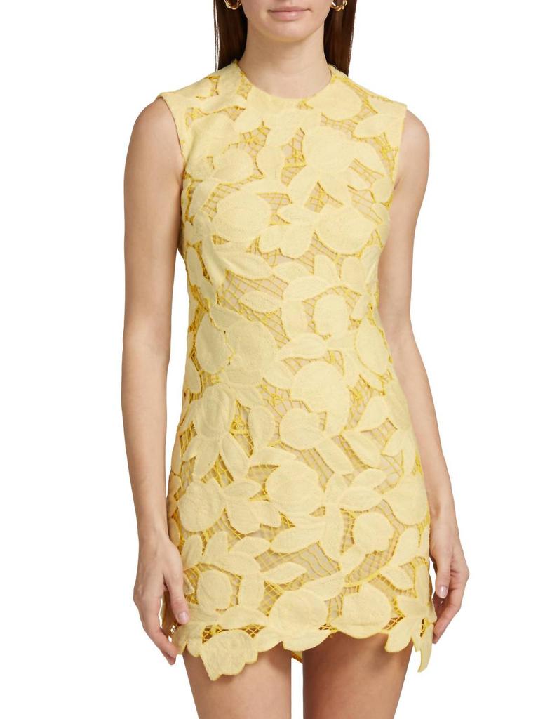 SIMKHAI Simkhai - Mickie Sleveless Mini Dress