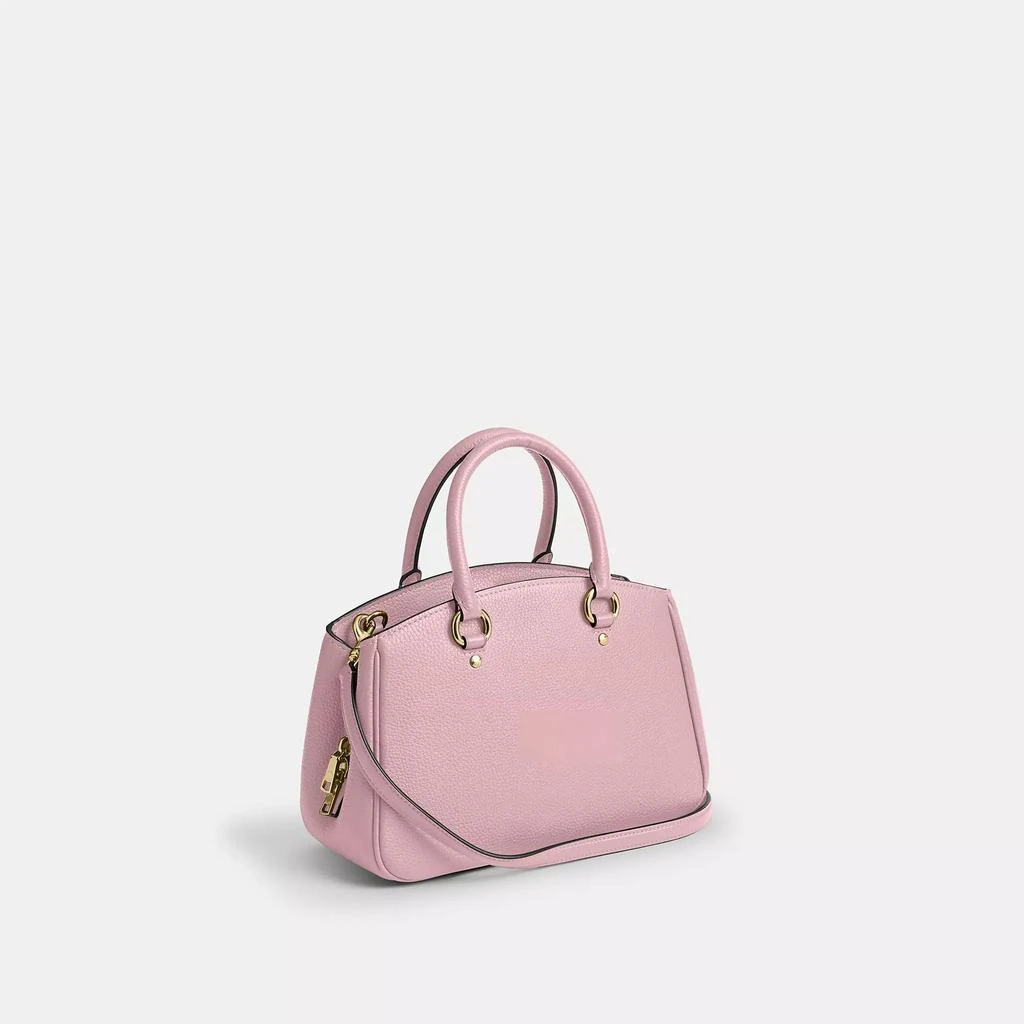 Coach Savannah Small Carryall Bag 3