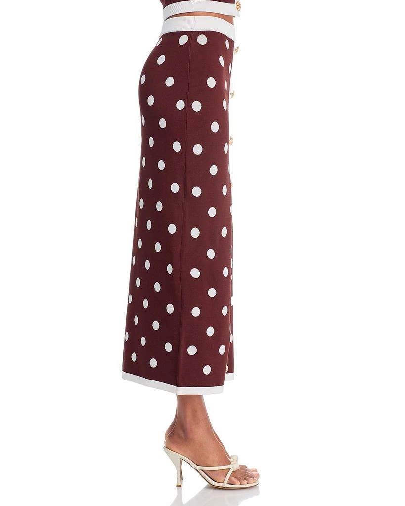 Cara Cara Alice Skirt Cocoa Dot 4