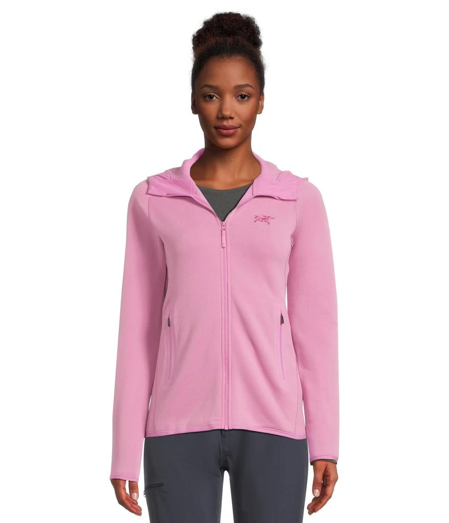 Arc'teryx Kyanite Hoodie 1