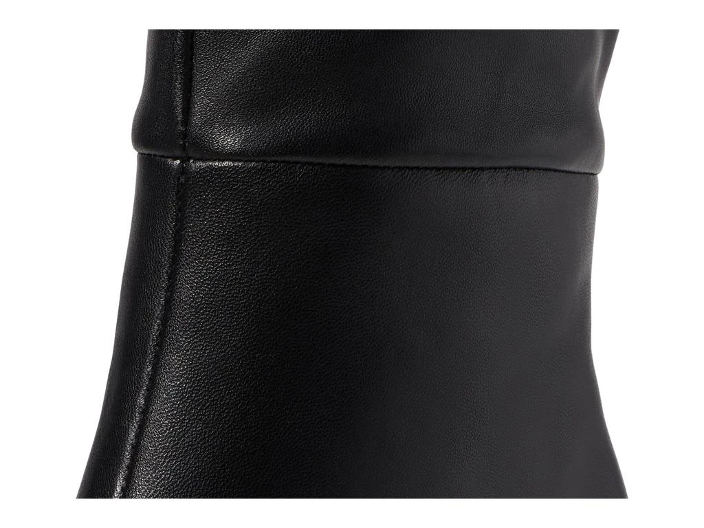 Steve Madden Lavan 6