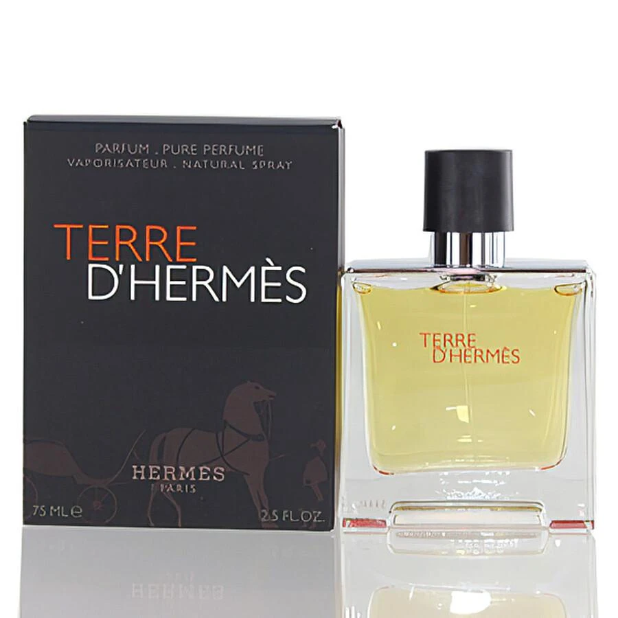 Hermes Hermes Terre D'Hermes Mens EDP 2
