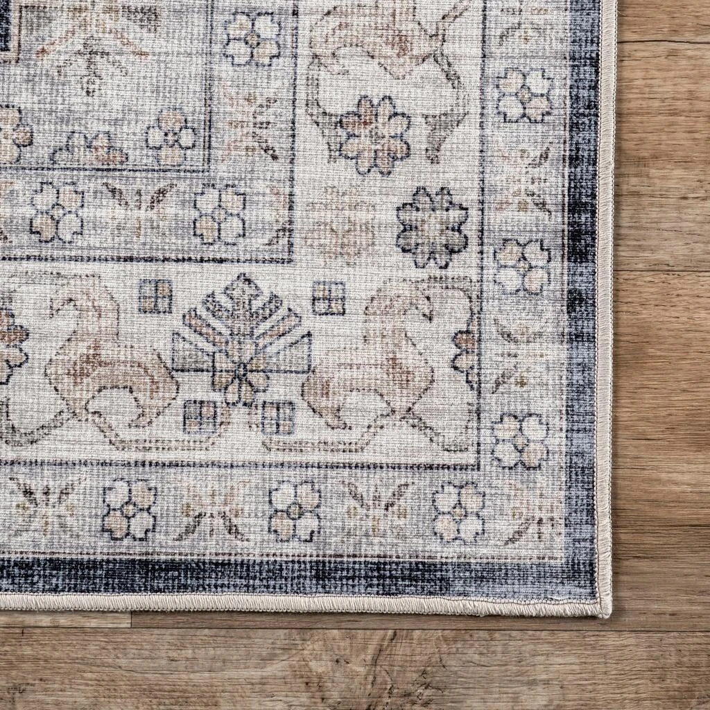 nuLOOM Casey Persian Stain-Resistant Machine Washable Area Rug 5
