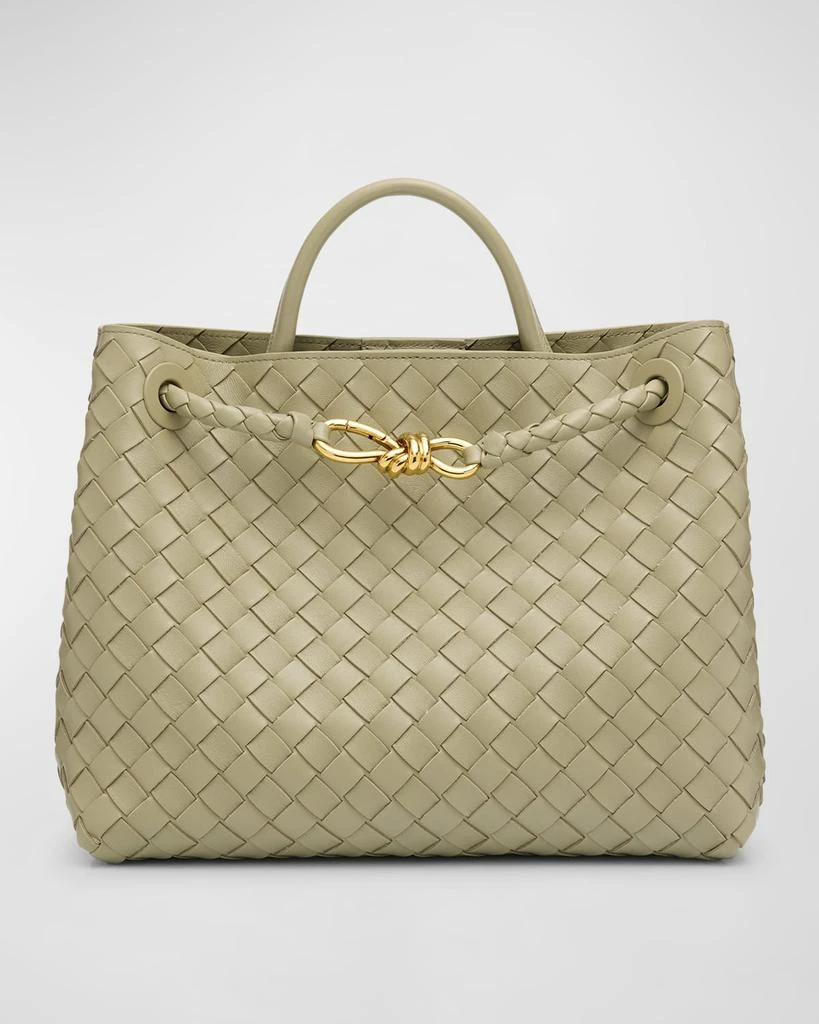 Bottega Veneta Medium Andiamo Bag 1