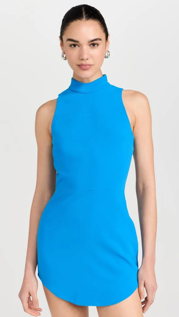 Amanda Uprichard Marshall Dress 6