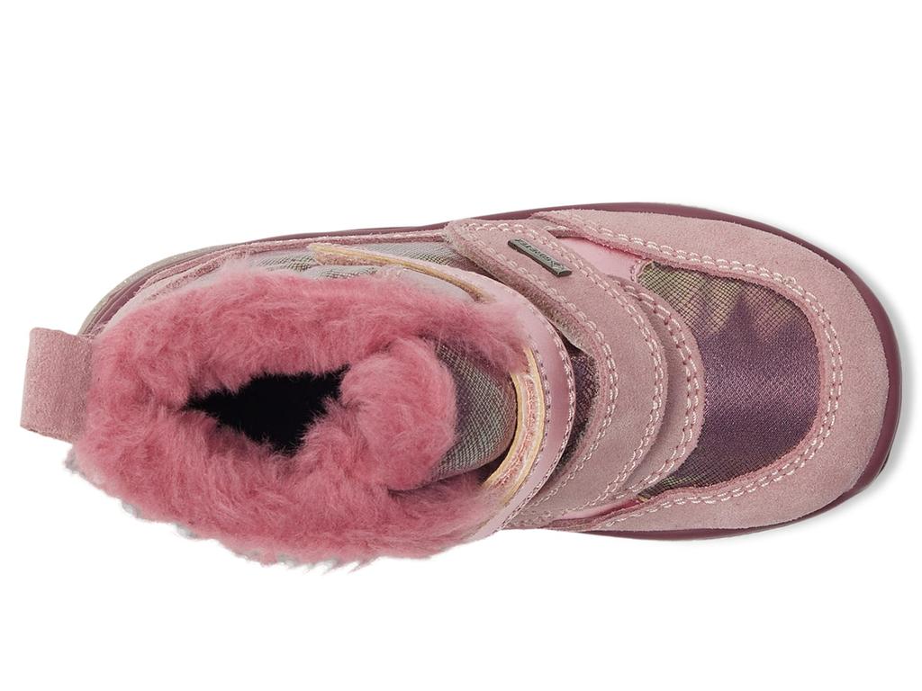 Primigi Kids PGYGT 68612 (Toddler/Little Kid)