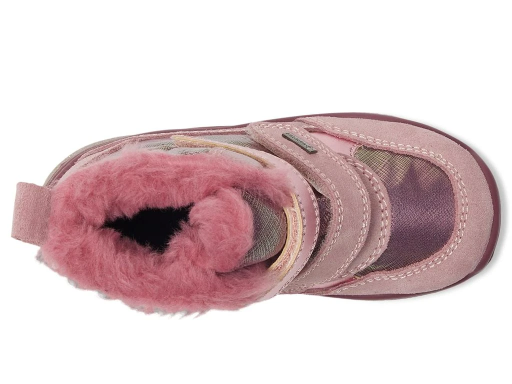 Primigi Kids PGYGT 68612 (Toddler/Little Kid) 2