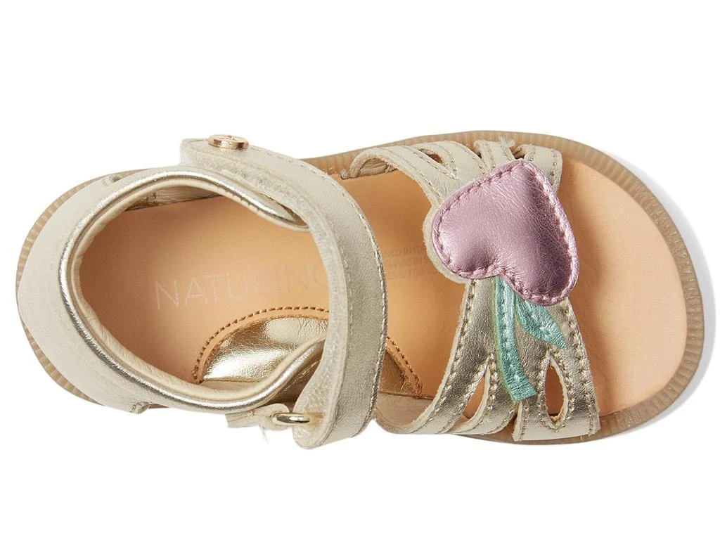 Naturino Lepaz (Toddler/Little Kid) 2