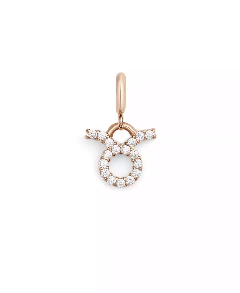 Daniel Wellington Women's Rose Gold Tone Stainless-Steel Watch Charm