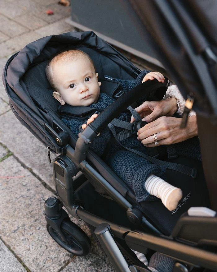 UPPAbaby RumbleSeat V3 5